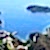 leonardo-2692466-D-Hotel_Maris_Airshooting_O-736696