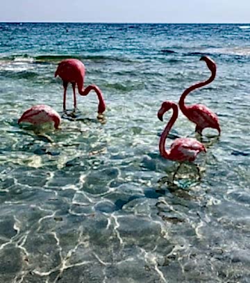 PARADISO_ALAÇATI